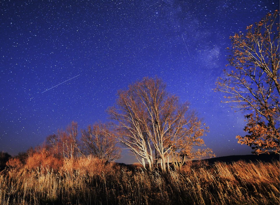  Meteors seen streaking across the sky in Russia during 2016's Orionid meteor shower