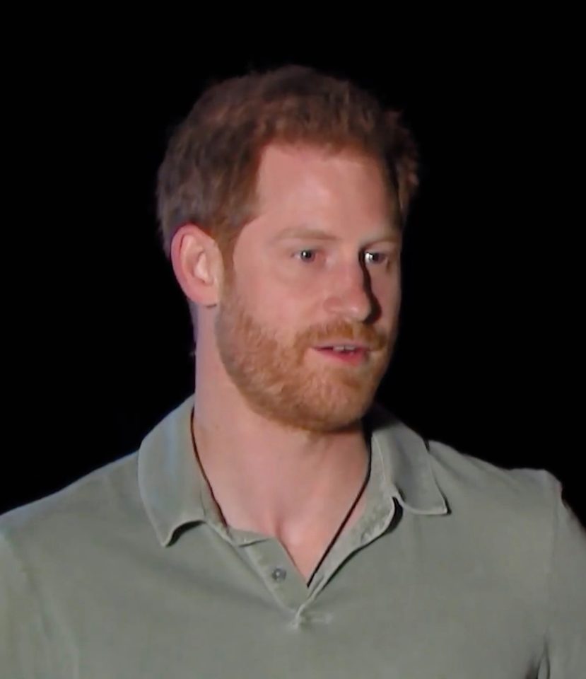  Prince Harry has shut down his brother’s claims that he's 'fragile' and hit out at ‘out-of-touch’ royals