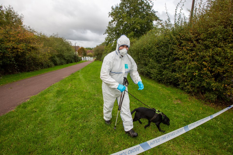 Sniffer dogs have been brought out to a park near where the deaths occurred