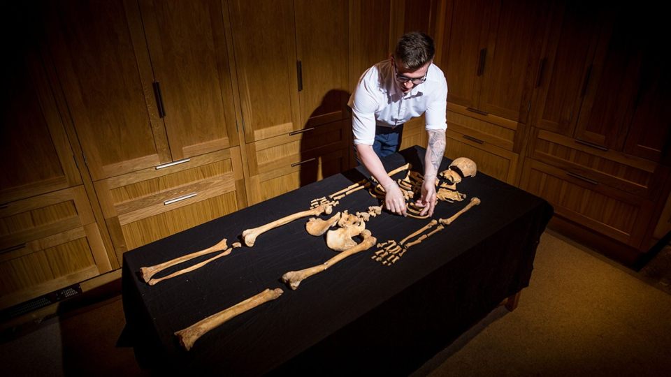  The skeletons of a woman and child have been unearthed at the Tower of London. Pictured are the remains of the mother, who died around 500 years ago