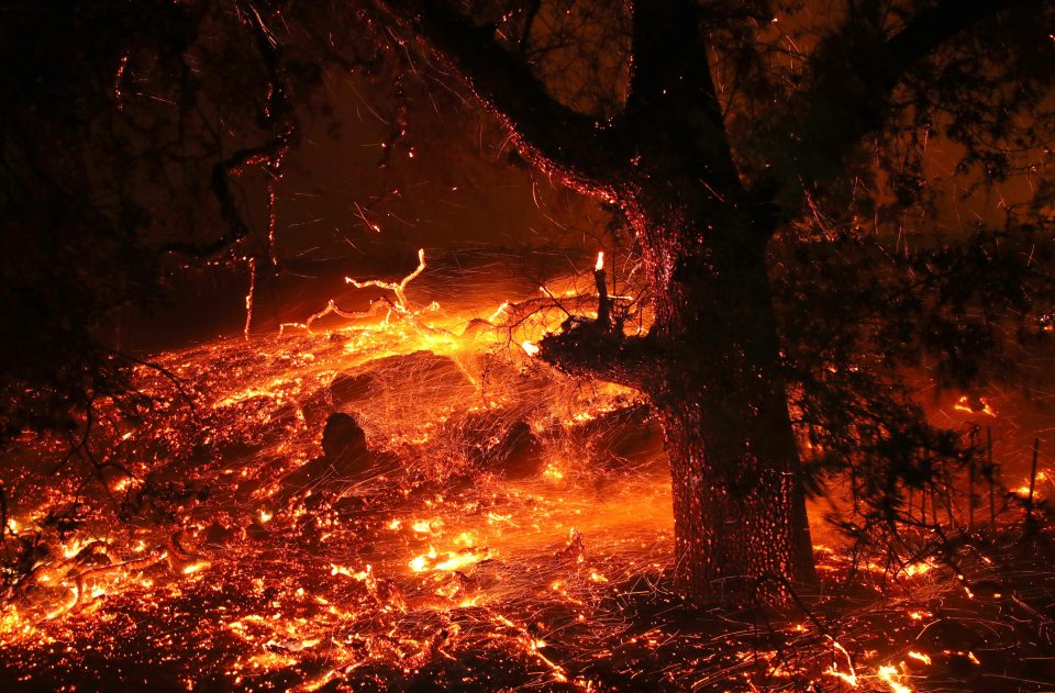  Embers blow in the wind as the Kincaide Fire burns through Geyserville, California