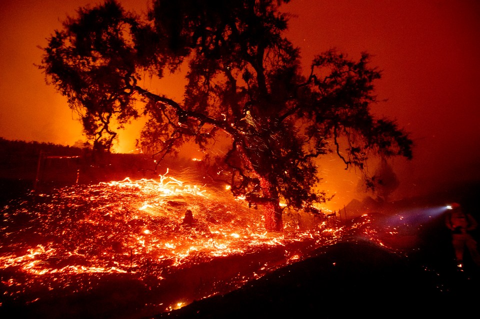  Embers fly from a tree as the Kincade Fire burns