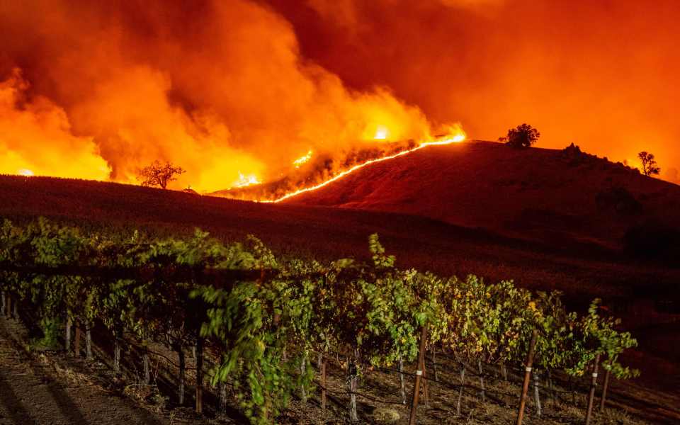  Flames approach rolling hills of grape vines as the Kincade fire rages across part of the state's wine country