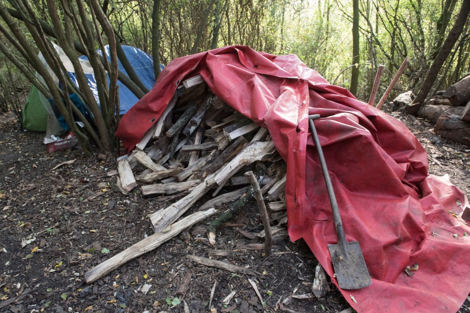  A pile of fire wood inside the muddy camp