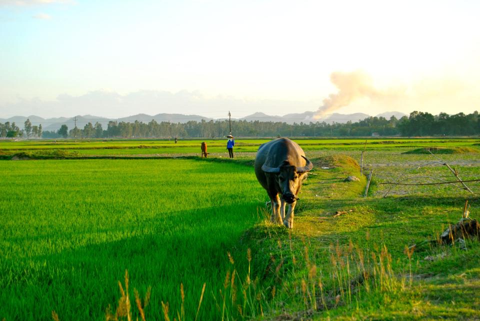  A general view of Nghe An, which is one of Vietnam's poorer provinces