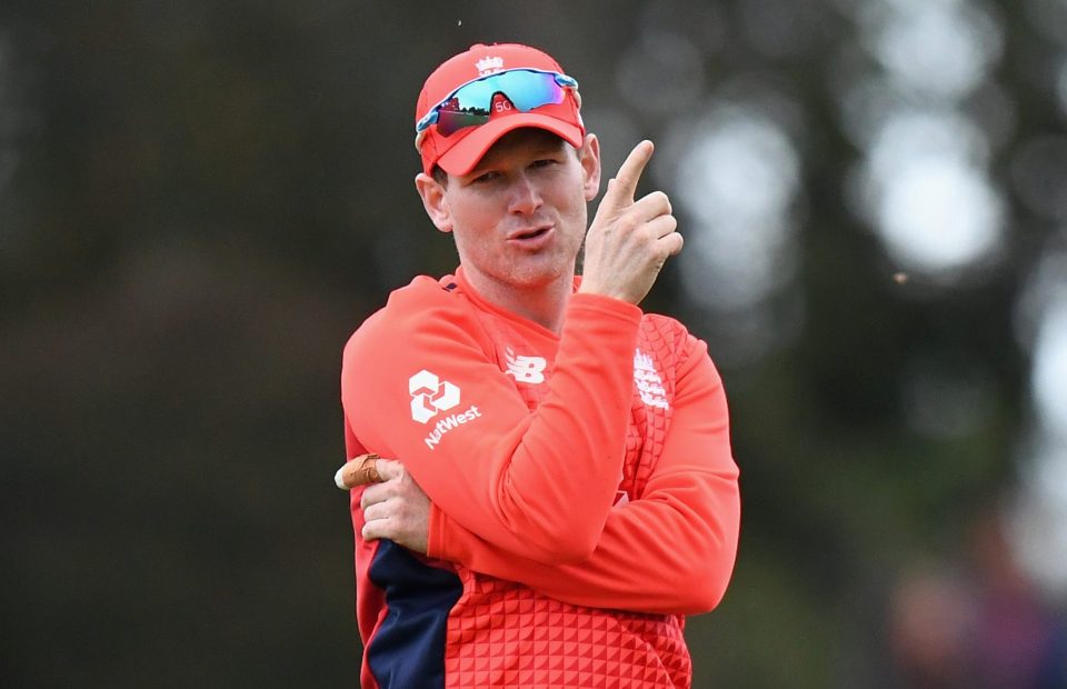  Eoin Morgan says he will decide his future after the T20 World Cup in Australia