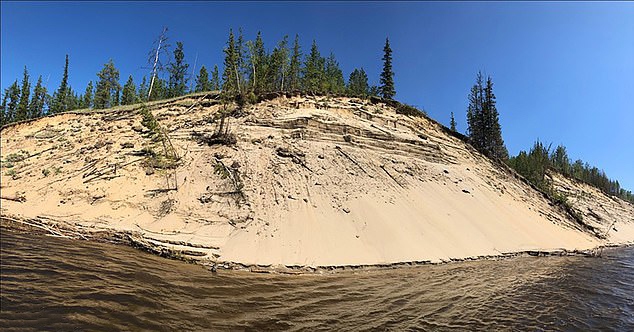  Researchers found the skeleton in a Siberian "sand grave"