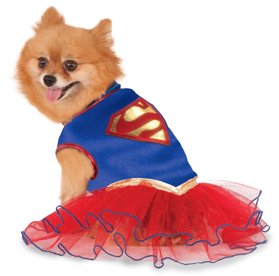  Know a dog who wants to be Supergirl for Halloween?