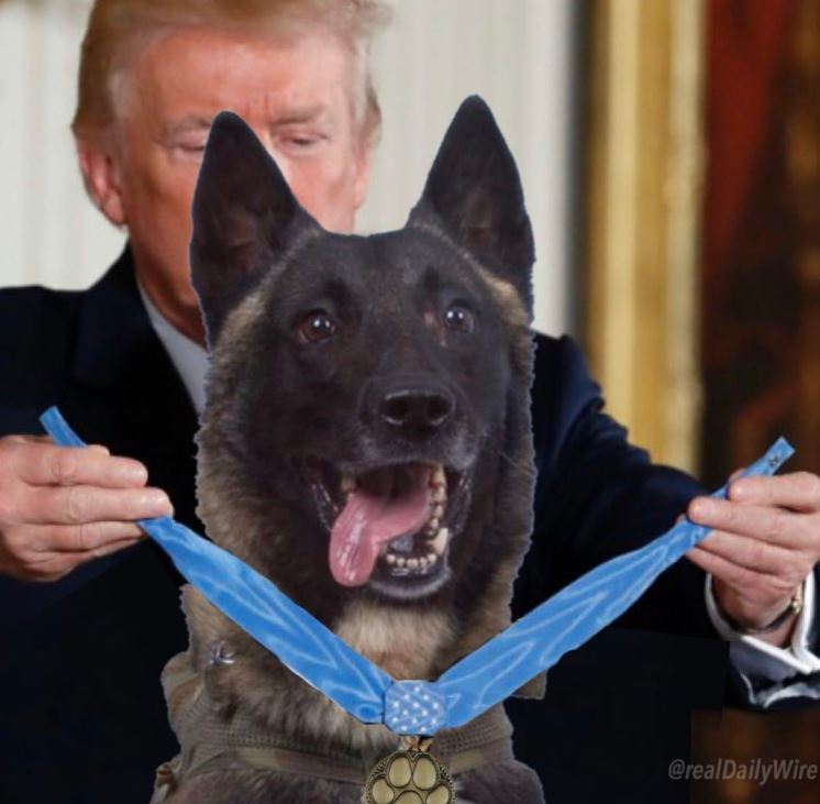 Donald Trump has been slammed after he tweeted this doctored image showing a dog receiving a medal