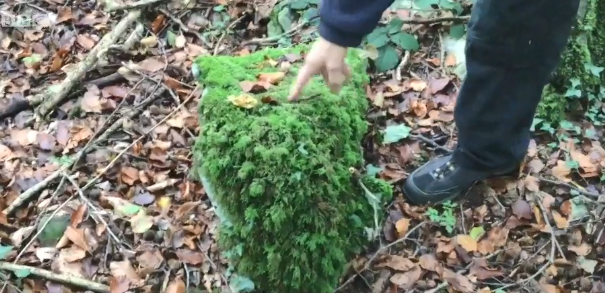  The stones were thought to be used for ritual purposes