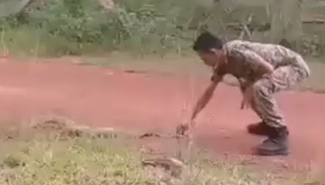  The Malaysian soldier then grabs the deadly snake's head once he's pushed it to the ground