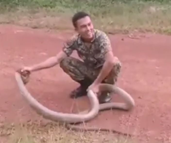  The soldier then smiles as he has the venomous snake firmly in his grips