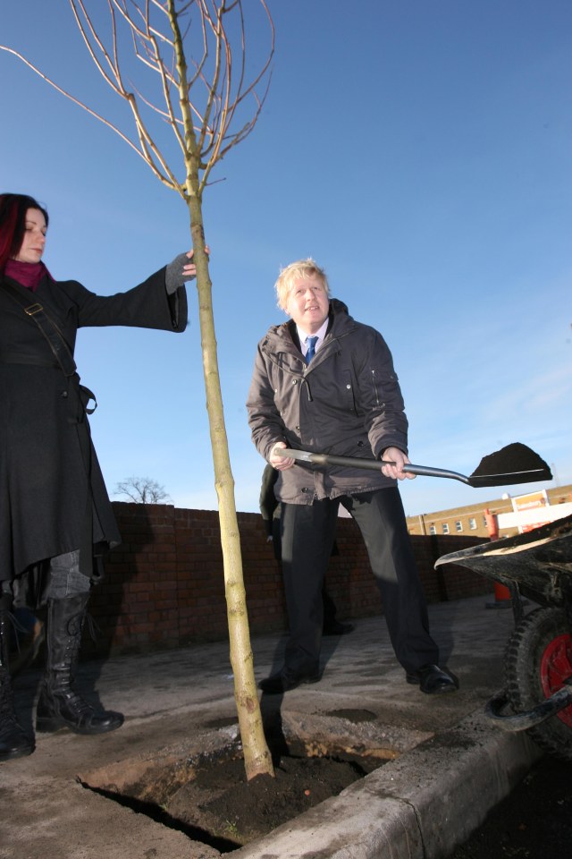  Boris Johnson promises to keep the nation green by tripling the number of trees being planted