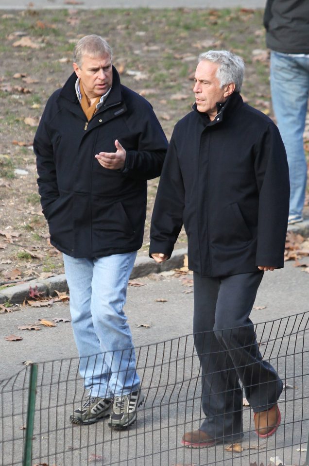  Andrew and Epstein were pictured together as they strolled through New York's Central Park in 2010