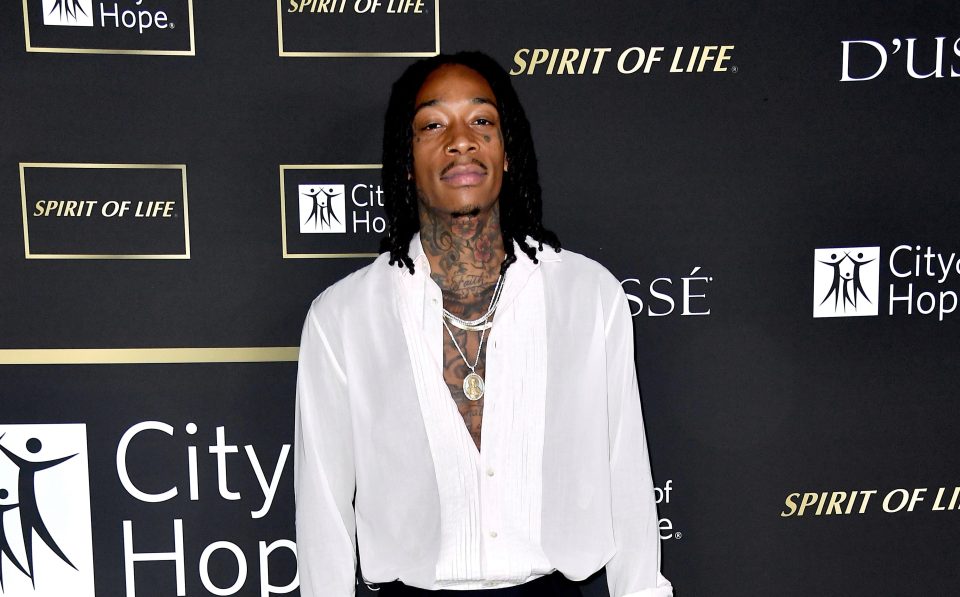  Wiz Khalifa has trained himself in Brazilian jiu-jitsu