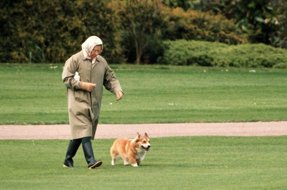  The Queen received her first corgis, called Susan, for her 18th birthday in 1944