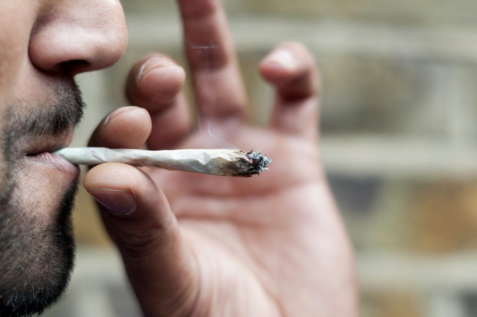  Gangs cater to a multi-billion pound cannabis market in Britain - some campaigners say its time to cut criminals out of the trade by changing the law