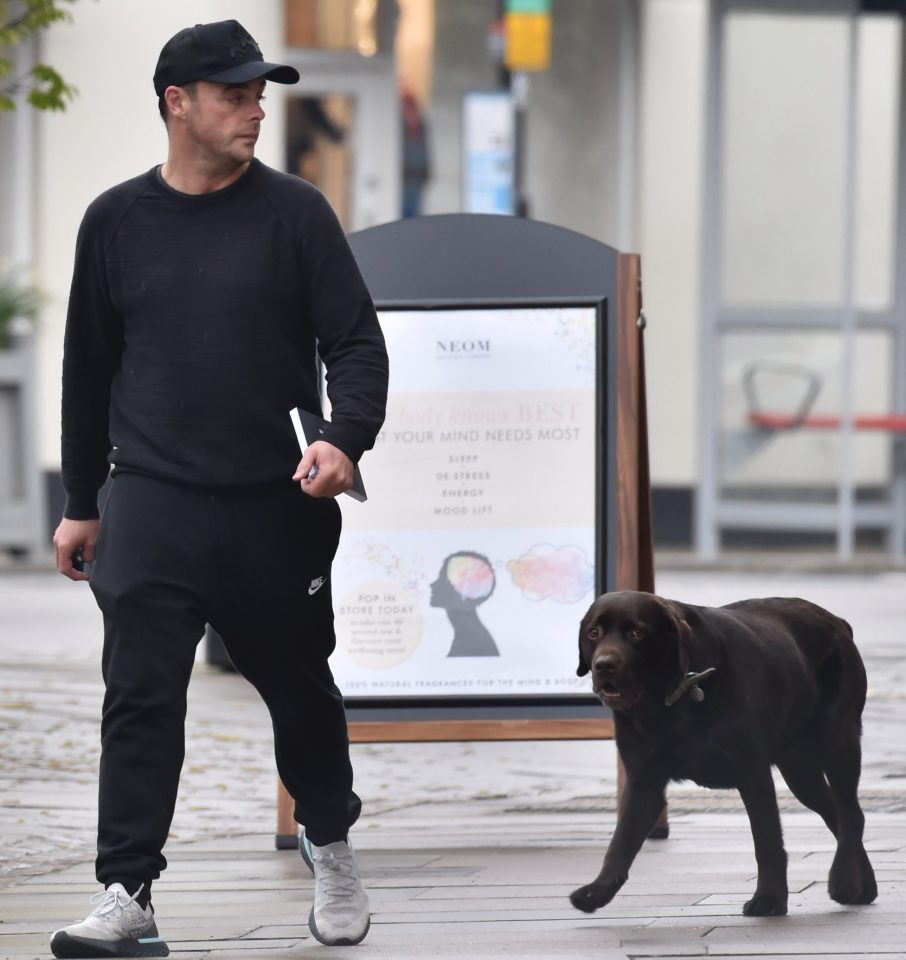  A decision will also be made over the custody of the pair's beloved chocolate Labrador Hurley