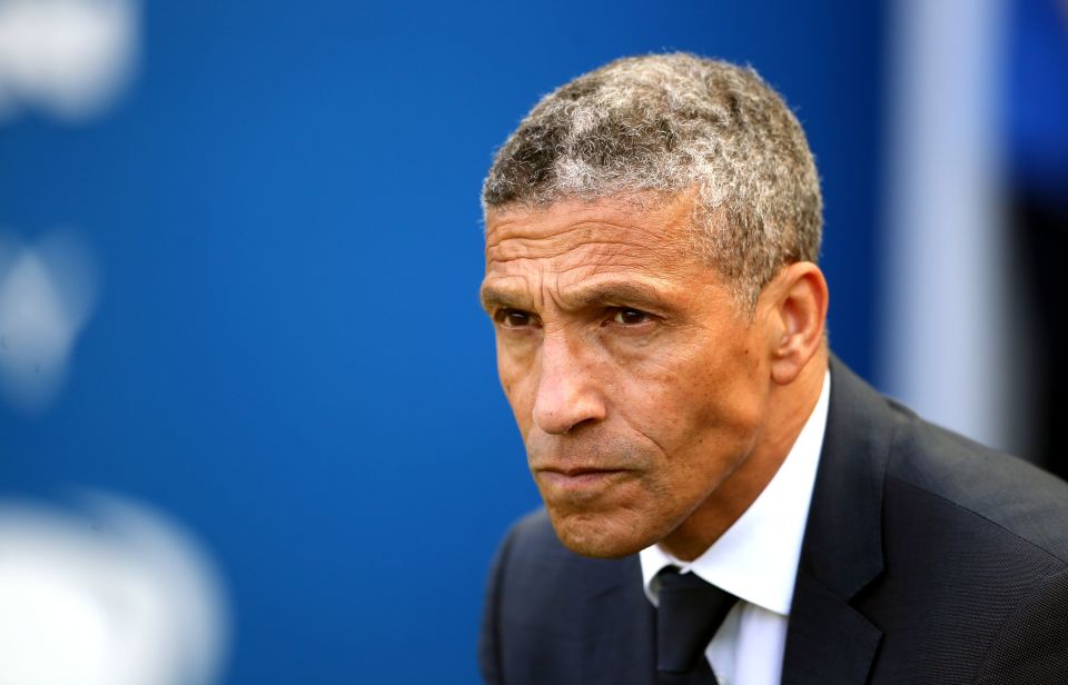  Chris Hughton was sacked by Brighton despite winning the club promotion to the Premier League