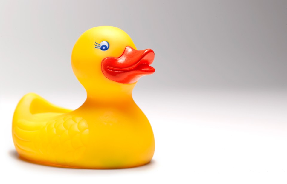  Channel 4's Dispatches found that a yellow duck toy had 'incredibly high' levels of phalate