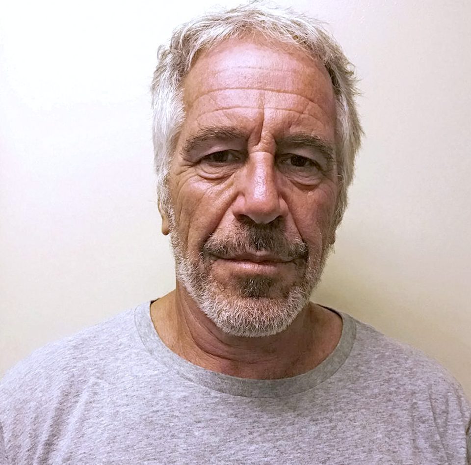  Epstein, pictured in his mugshot, died in his jail cell in August