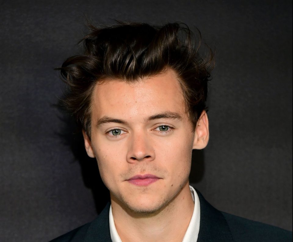  Harry Styles is said to have won a drinking contest by downing 12 Martini cocktails in an hour