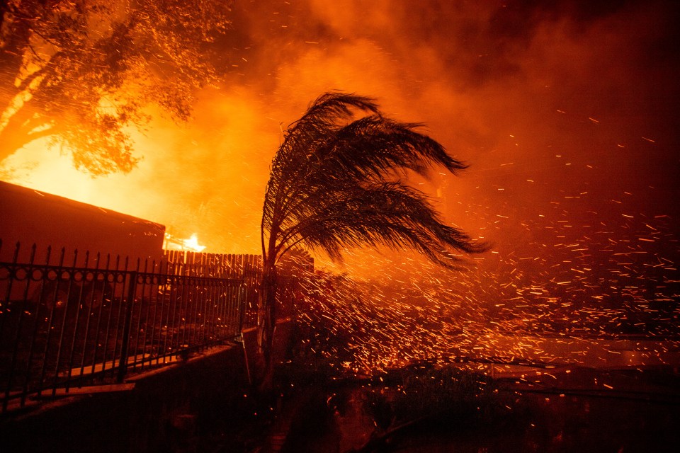  Deadly bush fires are currently raging in New South Wales, near to where I'm A Celeb is filmed