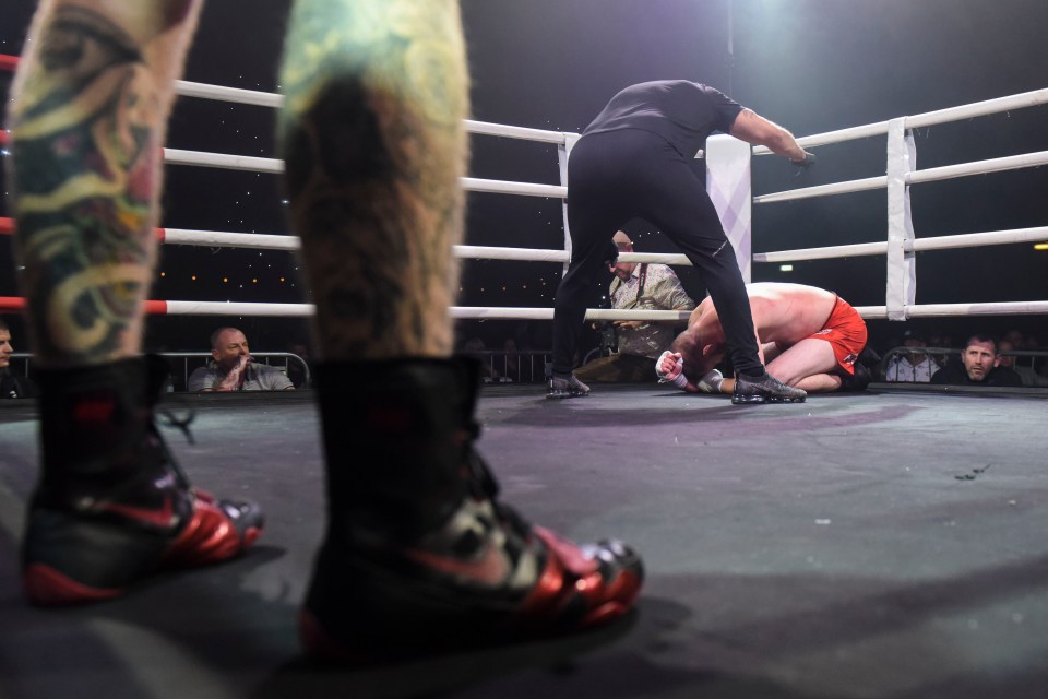  Competitors brawl until the ref steps in or one of them is knocked out