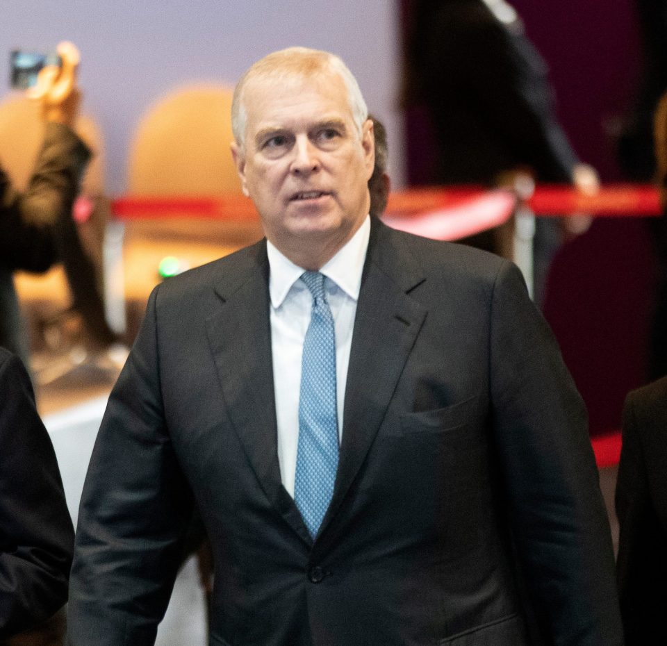  Prince Andrew claimed he didn't remember meeting Virginia Roberts