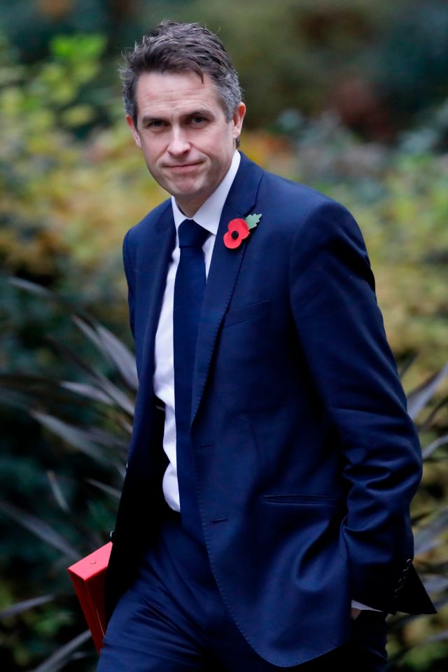  Education Secretary Gavin Williamson says that without independent inspections school standards would fall