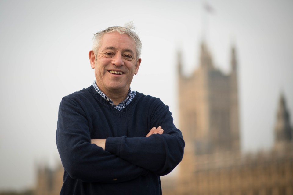  Bercow stepped down as speaker last month