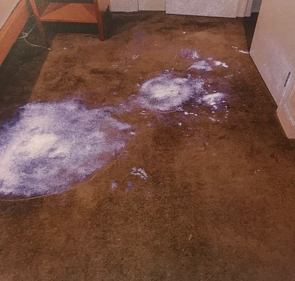  The trial of man accused of killing Grace Millane was shown photos of alleged blood stains in his apartment, highlighted by cops using chemical luminol