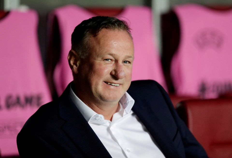  Michael O'Neill has officially been named new Stoke boss