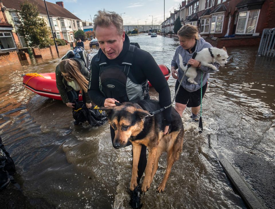  Pets were also caught up in the weather chaos yesterday