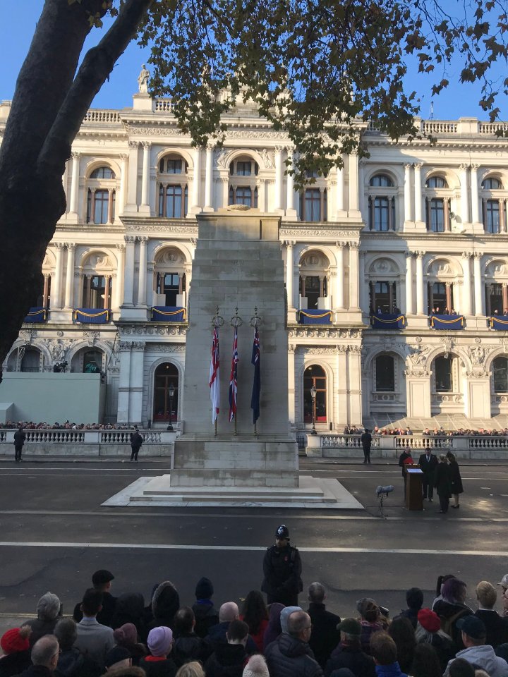  The poppy-wreaths will be laid at the Cenotaph memorial in central London