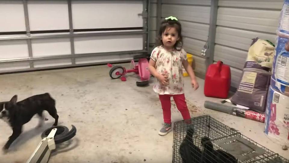  David Eason admits he killed the family's French bulldog, Nugget, because it bit the couple's 2-year-old daughter, Ensley