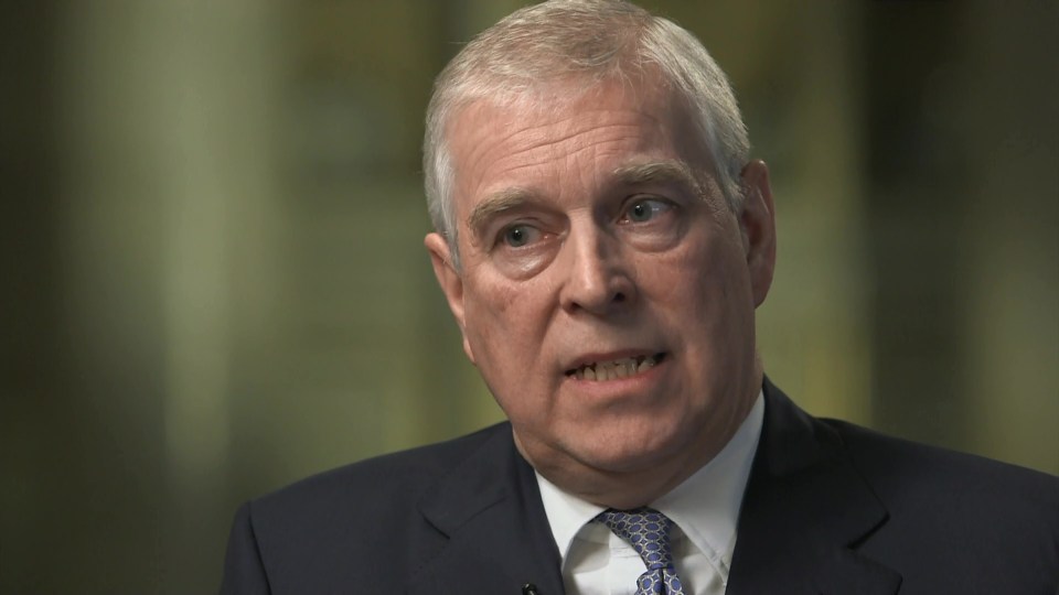 Prince Andrew is looking for a tech project assistant