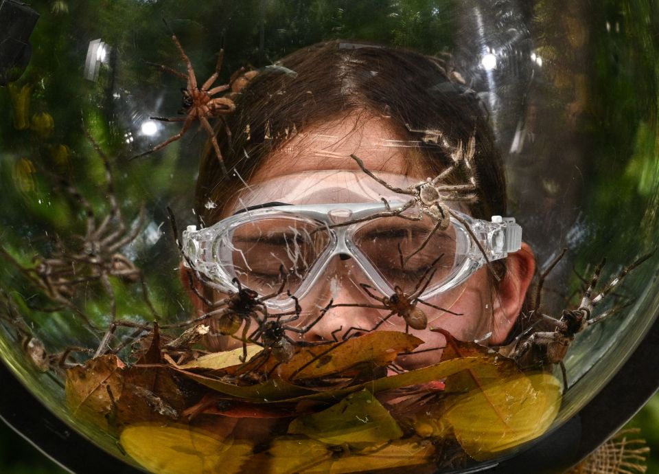  The mum-of-two was forced to complete the task while wearing a helmet full of spiders