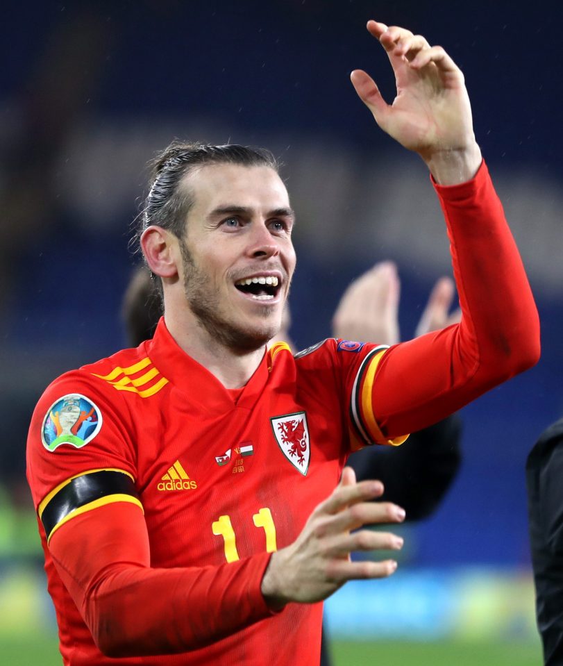  Gareth Bale shows his delight as Wales seal their spot at the Euros next summer