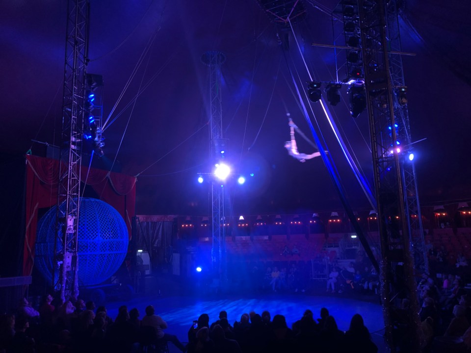 This photograph shows the acrobat moments before she fell