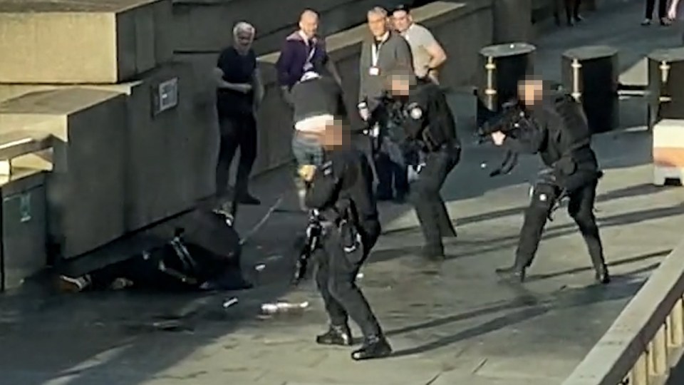  Armed cops surround the terrorist on London Bridge