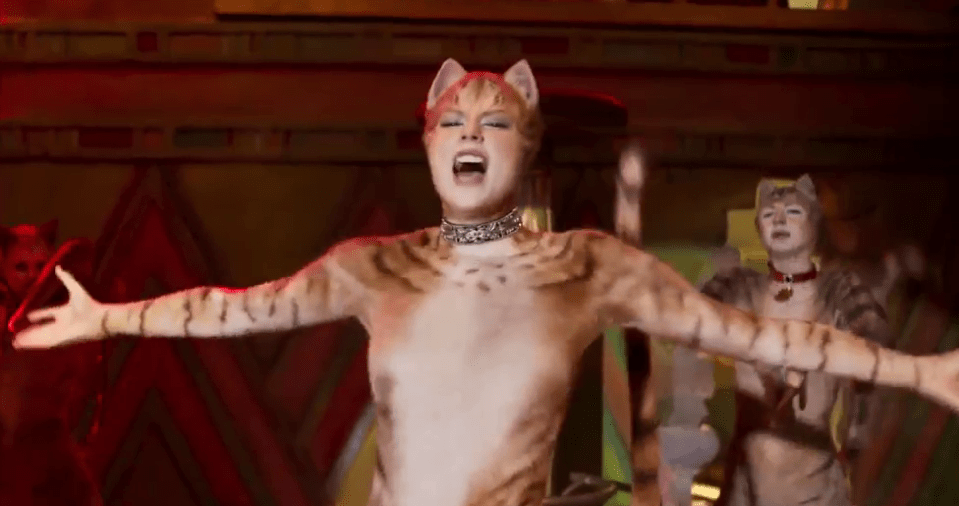 One viewer objected to what they termed Taylor Swift’s ‘cat boobs’