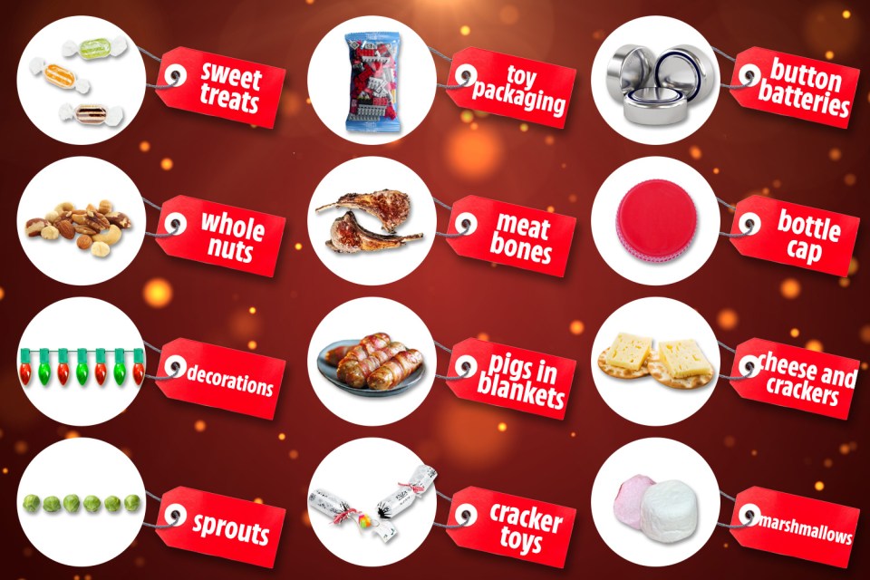  Experts have highlighted the 12 key choking hazards you need to look out for this Christmas