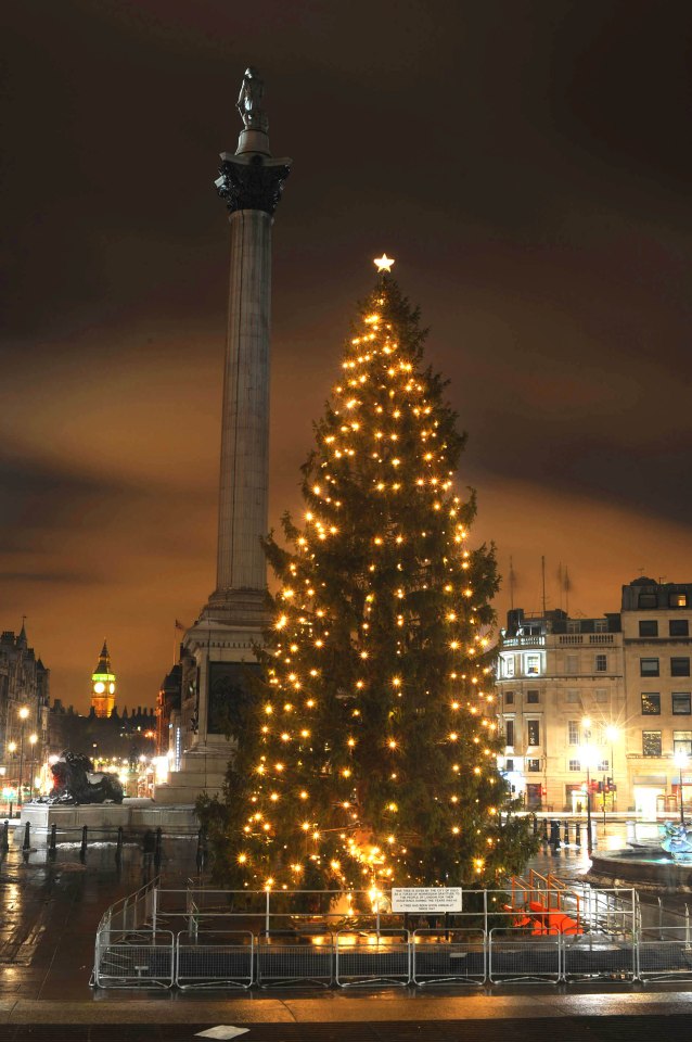  Norway's spruced up Trafalgar Square Christmas tree in 2010