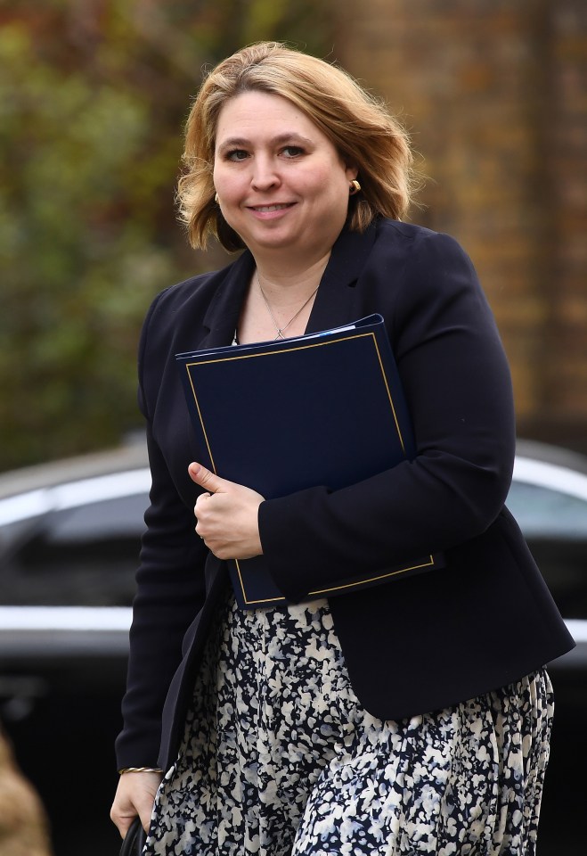  Karen Bradley admitted she didn't believe a word she said as Northern Ireland Secretary