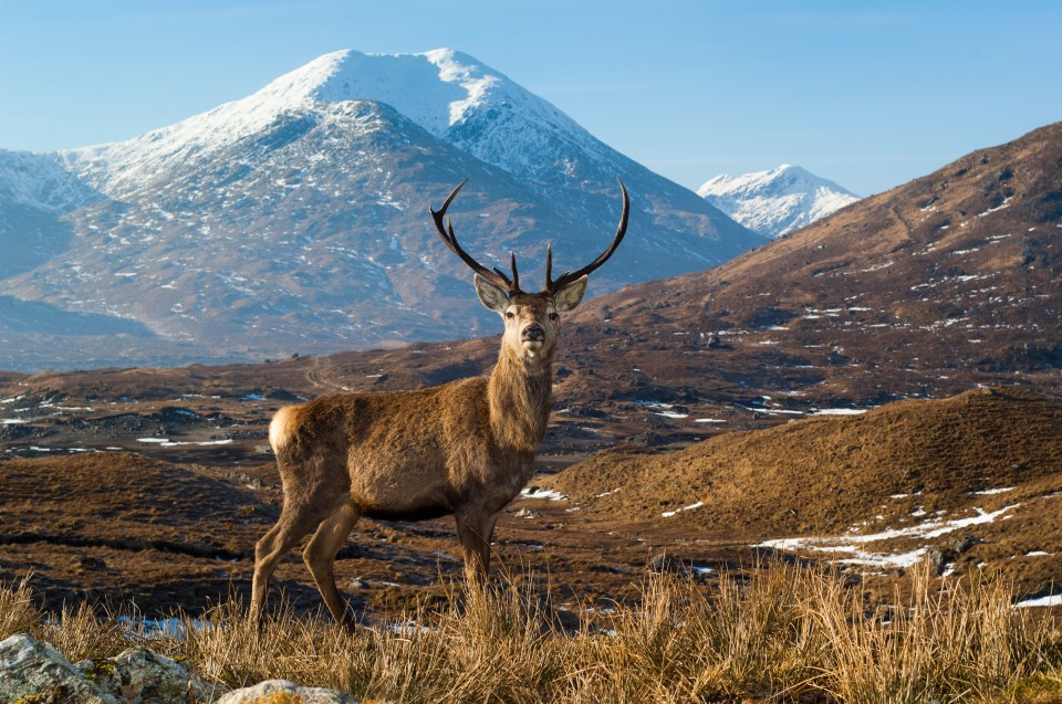  Flying to Inverness is an eay way to access the Highlands