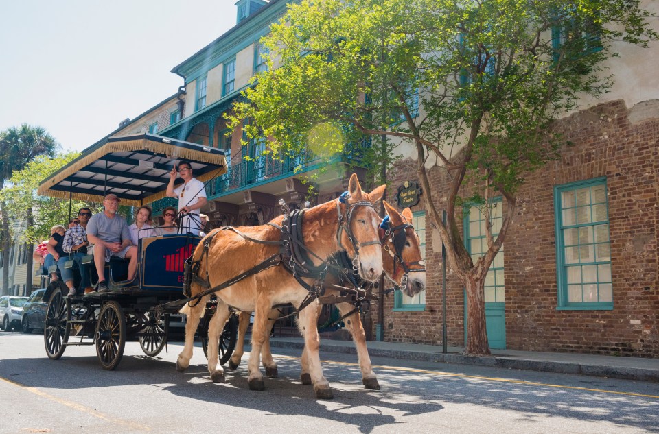  Charleston is a thriving, stylish and captivating city with world-class food and drink