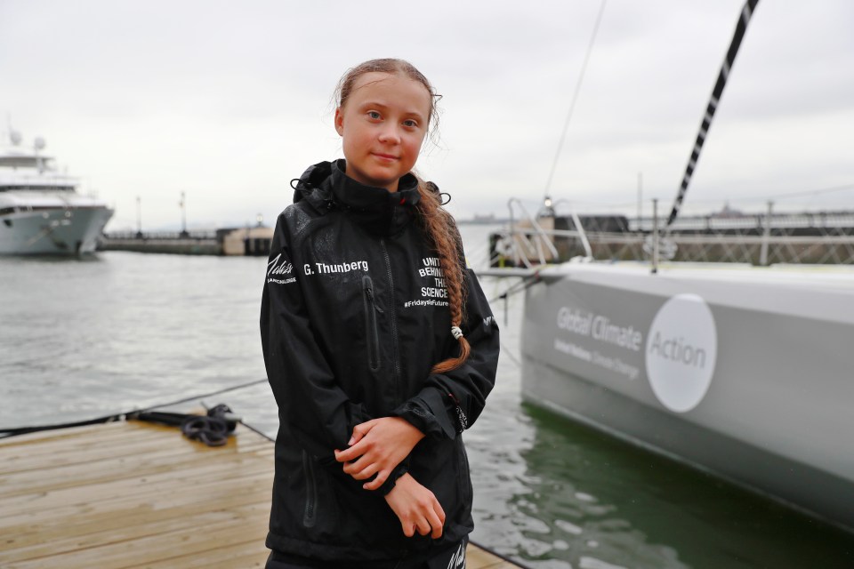  Elsa is said to be loosely based on 16-year-old environmental activist Greta Thunberg