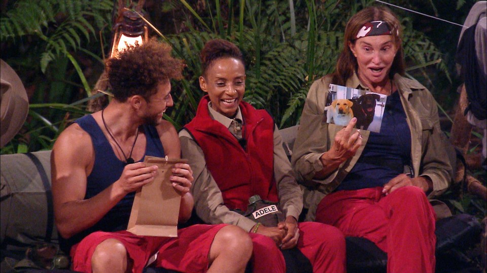 The last thing this dull series of Im A Celebrity needed was care packages