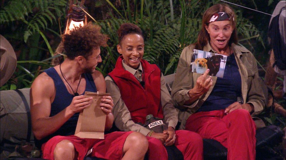  The last thing this dull series of I'm A Celebrity needed was care packages